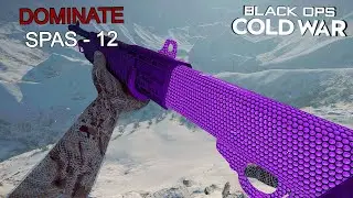 my PLAGUE DIAMOND Spas 12 DOMINATED and SHOCKED the entire lobby... (Black Ops Cold War)