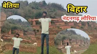 Discover the secrets of Lauriya Nandangad | बिहार नंदनगढ़ लौरिया 🌲#bettiahbihar 🌲it gril official