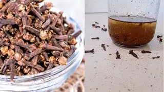 Как получить гвоздичное масло в домашних условиях