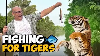 Fishing for Lions🎣🦁 | Do Lions & Tigers Like Fish?🐯🐟 | BT Farm Stories