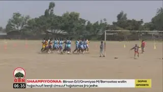 Komii Istaadiyeemii Negeellee Arsii
