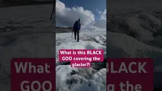 What is this GROSS BLACK GOOP covering the glacier? #glacier
