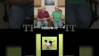 Реакция доктора Пола &ndash; И малыш, и собака потеряли мяч! 😂⚽🐶 #drpol