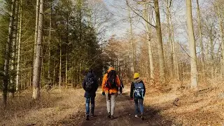 Hiking in Denmark (North of Copenhagen)