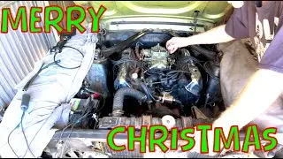 Some good news at Christmas!