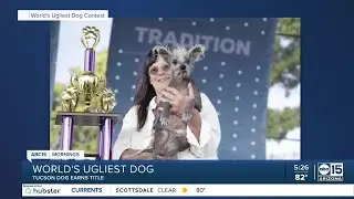 2023's World's Ugliest Dog is Scooter, a Chinese Crested hairless from Tucson
