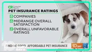 How much should pet insurance cost you?