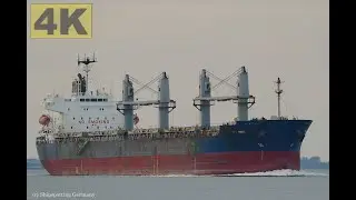 TBC PRIME - Shipspotting Germany 🇩🇪 IMO 9618501 - River Elbe near City Otterndorf - 4K VIDEO