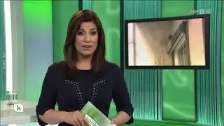 Unliebsame Tauben ORF konkret