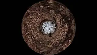 Charles River Abattoir, Jan 2026 #9 (360-degree DOME) 4K