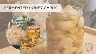 How to FERMENT GARLIC HONEY + free printable PDF guide in english and german  HD 1080p