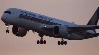 Sunrise Plane Landings & Midday Takeoffs @ AMS Schiphol Airport l HD 2017