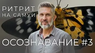 Ритрит ОСОЗНАВАНИЕ на Самуи. Встреча. 29.10.25