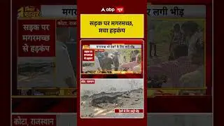 Viral Video: सड़क पर मगरमच्छ, मचा हड़कंप | ABP NEWS SHORTS