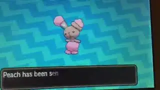 [LIVE] Shiny Buneary after a SOS chain of 232 Pokemon Ultra Sun/Moon shiny hunts #40