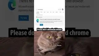 Microsoft Edge