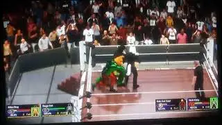 WWE BattleTeam Rage Cat & Mike Dog Vs Dab Cat Cool & Nick Kitty