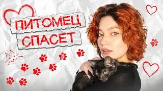 меня кот из депрессии вытаскивает