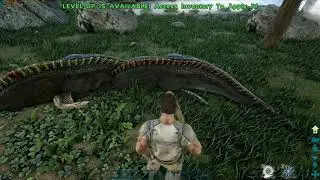 ARK  Survival Evolved 4k