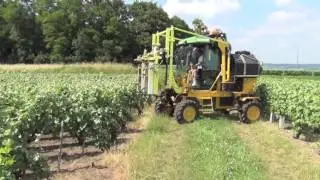 Gearmore Collard Vineyard equipment