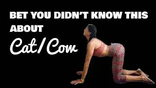 There is NO CAT COW In Ashtanga Yoga!....Or IS There???