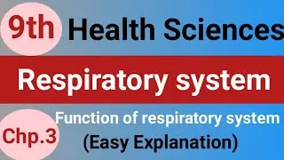 Respiratory system | Health Science ( Grade-9) Function of respiratory system | SNC of Pakistan 