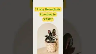 Lucky Houseplants According to Vastu | List of Lucky Houseplants for Home | #plants