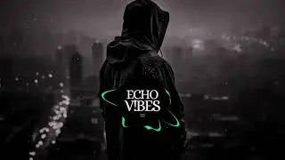 ECHO V!BES - (Streets Don&rsquo;t Lie