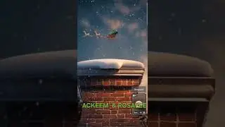 Юрист TicTok обсуждает активы ACKEEM и ROSALEE