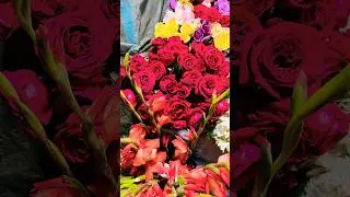 Different types of roses 🌹 #flowers #trending #bollywood #love #missyou #symboloflove #explorer