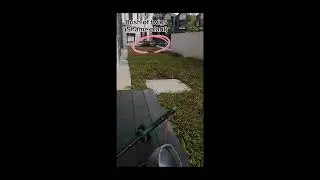 My lawn care journey. Lawn is looking good. aww yeahhh.