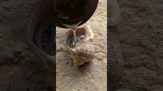Making Aluminum Snail Shell at Home 🐌 #metalcasting #DIY #recycling