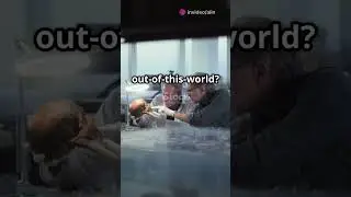 Bones Found in Antarctica Don't Belong to Any Known Earth Species