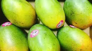 *** EXCLUSIVE Charlie's Produce Seattle Weekly Fresh Video Week 35 ***