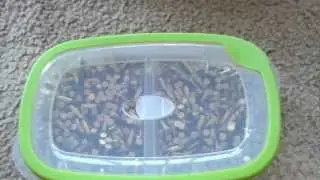 Ammo Storage