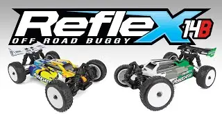 Team Associated Reflex 14B Ongaro and Gamma Buggies