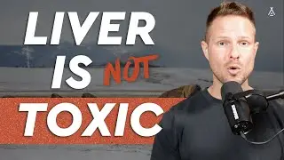 Debunking the Most Common Beef Liver Myths: Vitamin A Toxicity, Filter Organ, and High Cholesterol