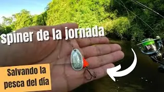 SPINER VIBRAX  pesca en r&iacute;o peque&ntilde;o. Sur de Chile regi&oacute;n de Los R&iacute;os / pesca en Chile 