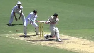 David Warner in nervous 90s, reaches century, Gabba Ashes Test 2013