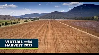 Virtual Harvest 2022: Toward a Carbon Neutral Future of Beer