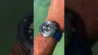 Seiko Tuna on Greece. #watchfam #funny #watch #watches #affordable #luxury #seiko #seikotuna