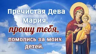 Пречистая Дева Мария, прошу тебя, помолись за моих детей.