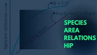 Species Area Curve Relationship