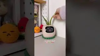 Ivy smart plant by plantsio 🍀✨