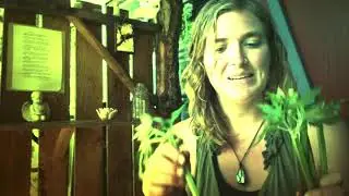 Motherwort, Lemon Balm, and Comfrey New Moon Propagation