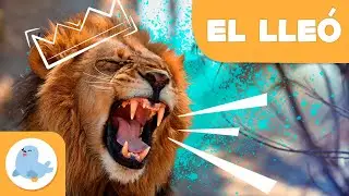 EL LLE&Oacute; 🦁 Animals per a nens en catal&agrave; 🌳 Episodi 1