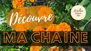 Le Temps D'une Vie - Astuces, Potager et id&eacute;es pour grandir chaque jour