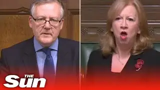 'You're irritating,' MP called out for rude remark to deputy speaker #Shorts