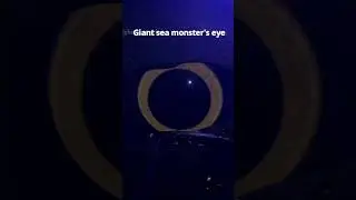 Giant sea monster's eye