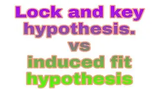 Lock and key hypothesis vs induced fit hypothesis in Hindi/urdu. #SYEDBIOLOGY